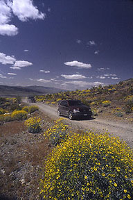 Death Valley, death,valley,panamint valley,goler wash,fish canyon